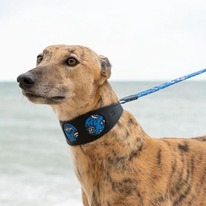 Eyes Hound Collar