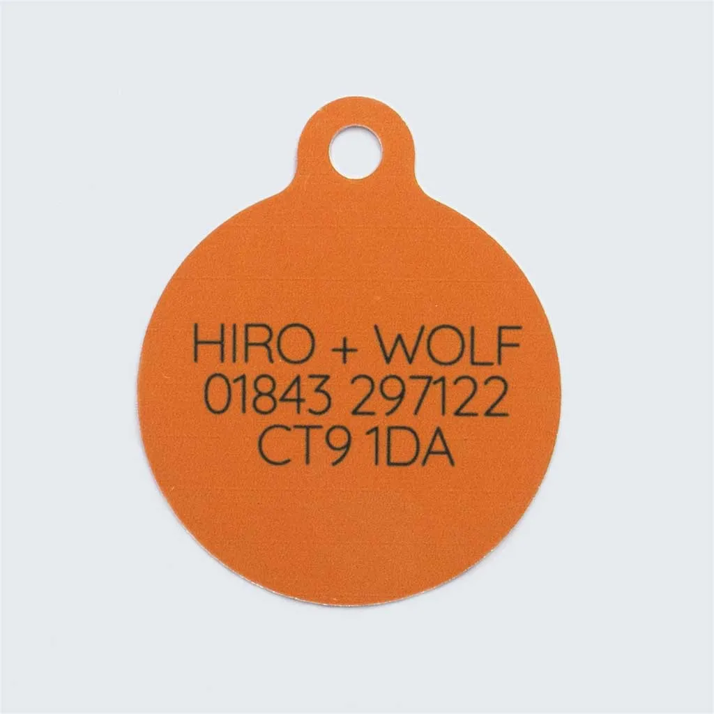 'Fireworks' Pet Tag