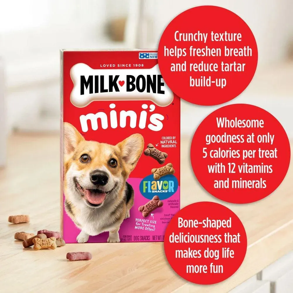 Flavor Snacks Mini Dog Biscuits 15 Oz