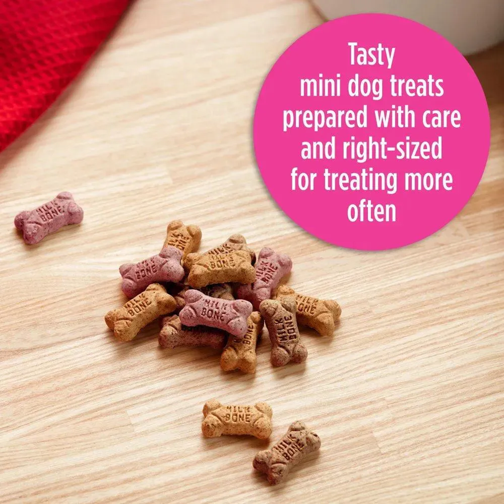 Flavor Snacks Mini Dog Biscuits 15 Oz