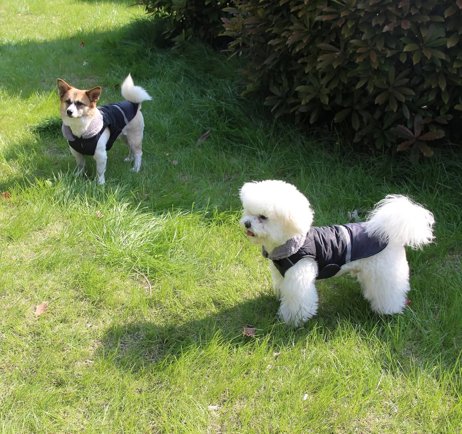Fleece Collar Reversible Dog Coats for Small Dogs Waterproof Warm Puppy Jacket for Cold Winter,Black XS