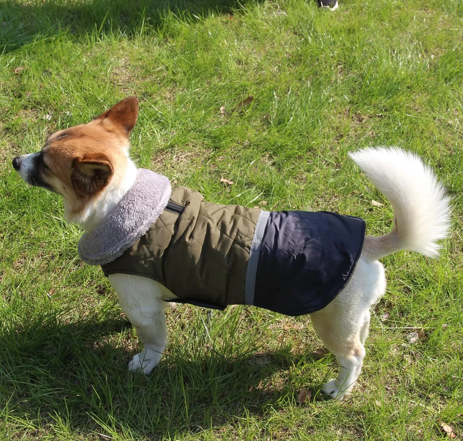 Fleece Collar Reversible Dog Coats for Small Dogs Waterproof Warm Puppy Jacket for Cold Winter,Green S