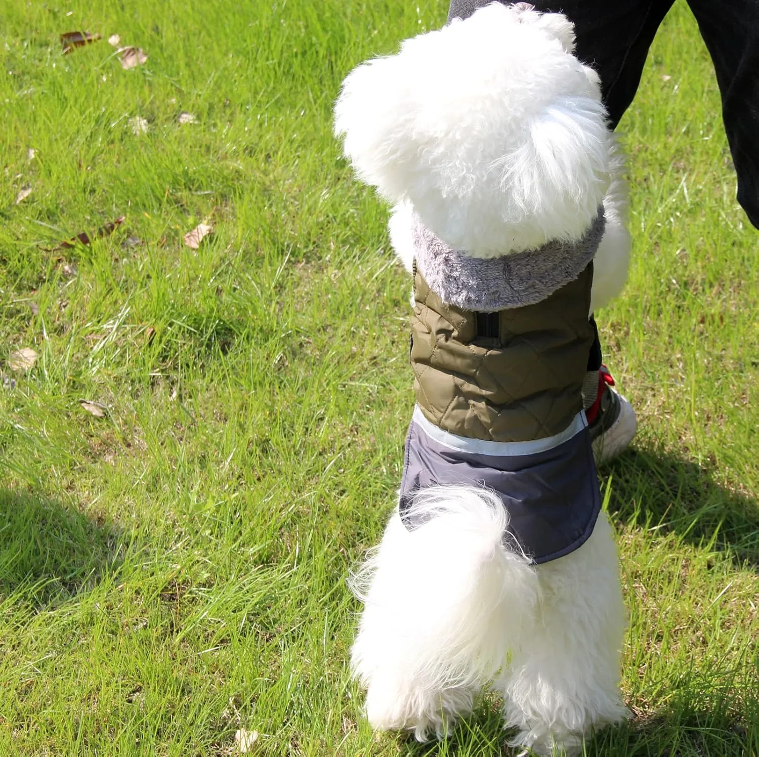 Fleece Collar Reversible Dog Coats for Small Dogs Waterproof Warm Puppy Jacket for Cold Winter,Green S