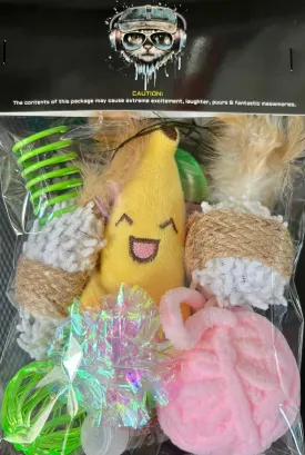 Furprize! Goin’ Bananas, Assorted Catnip Infusion Toys