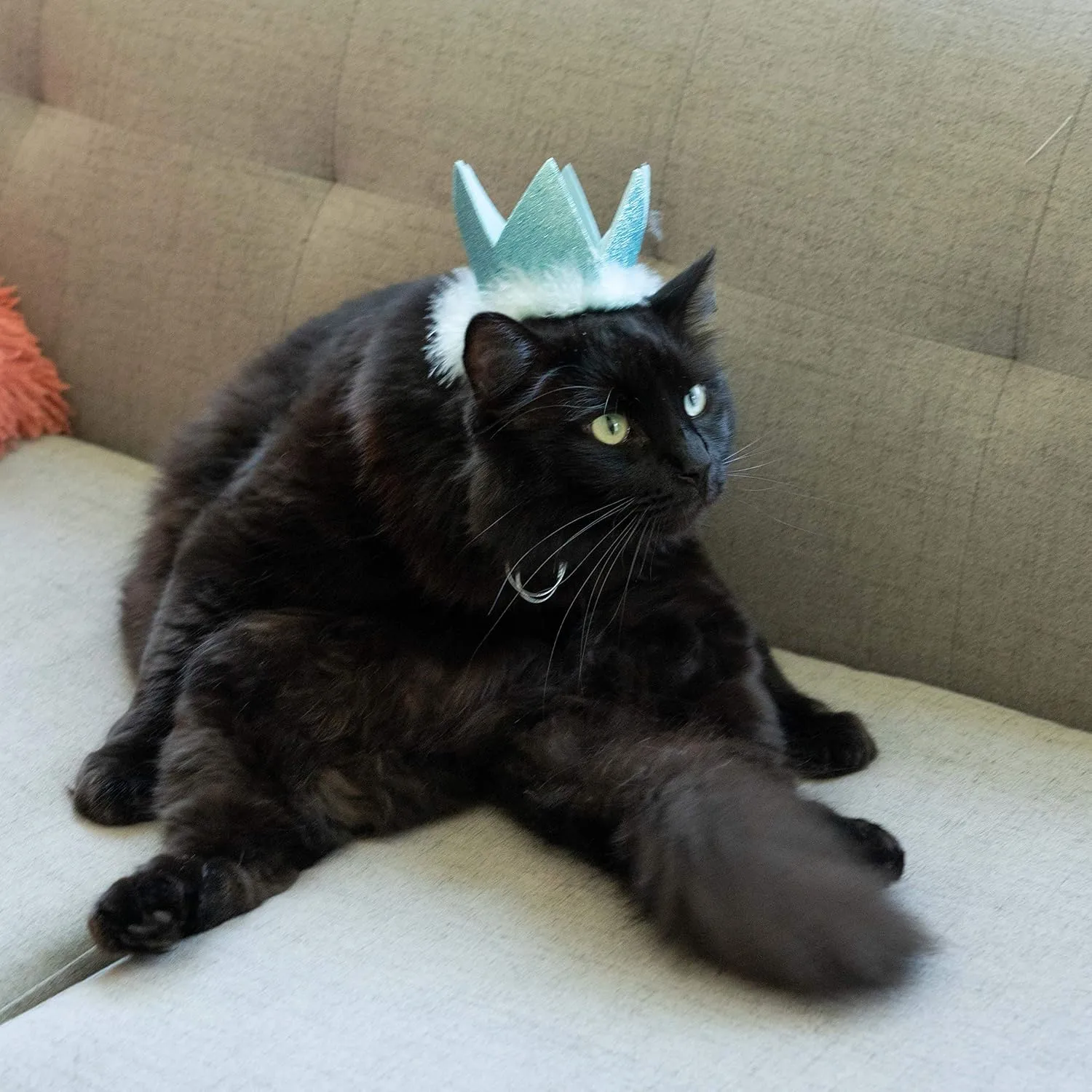 Huxley & Kent Pet Party Crown - Blue (Small) - Crown for Dogs and Cats - Adjustable Strap for Comfort and Stability - Perfect for Birthday Party, Adoption Celebration or Gotcha Day Photos