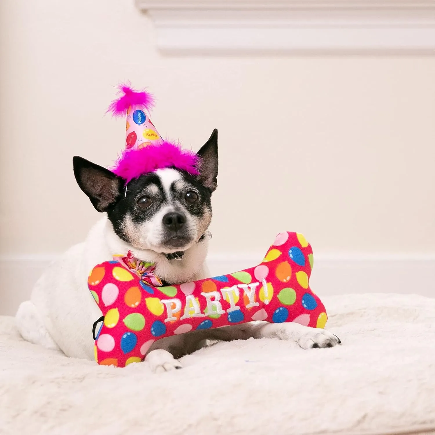 Huxley & Kent Pet Party Hat - Pink Party Time (Small) - Birthday Hat for Dogs and Cats - Adjustable Strap for Comfort and Stability - Perfect for Birthday Party, Adoption Celebration or Gotcha Day