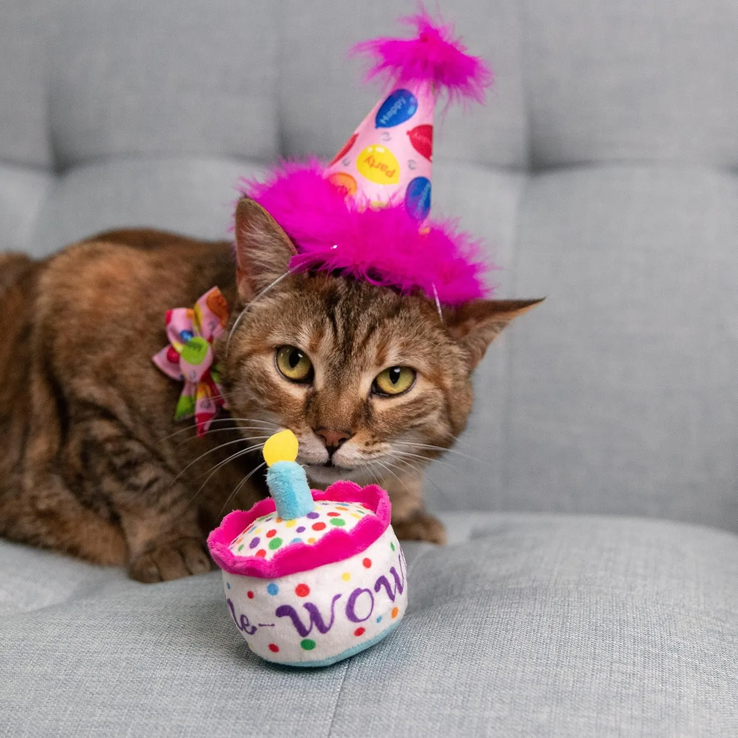 Huxley & Kent Pet Party Hat - Pink Party Time (Small) - Birthday Hat for Dogs and Cats - Adjustable Strap for Comfort and Stability - Perfect for Birthday Party, Adoption Celebration or Gotcha Day