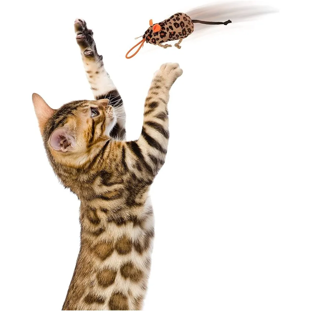 Instincts Cat Safari Sneakers Happynip Launcher 3 pack