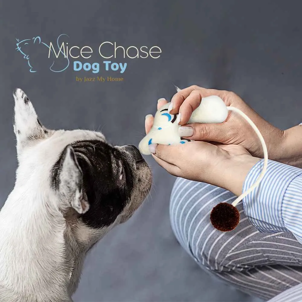 Jazz My Home Mice Chase Dog Toy