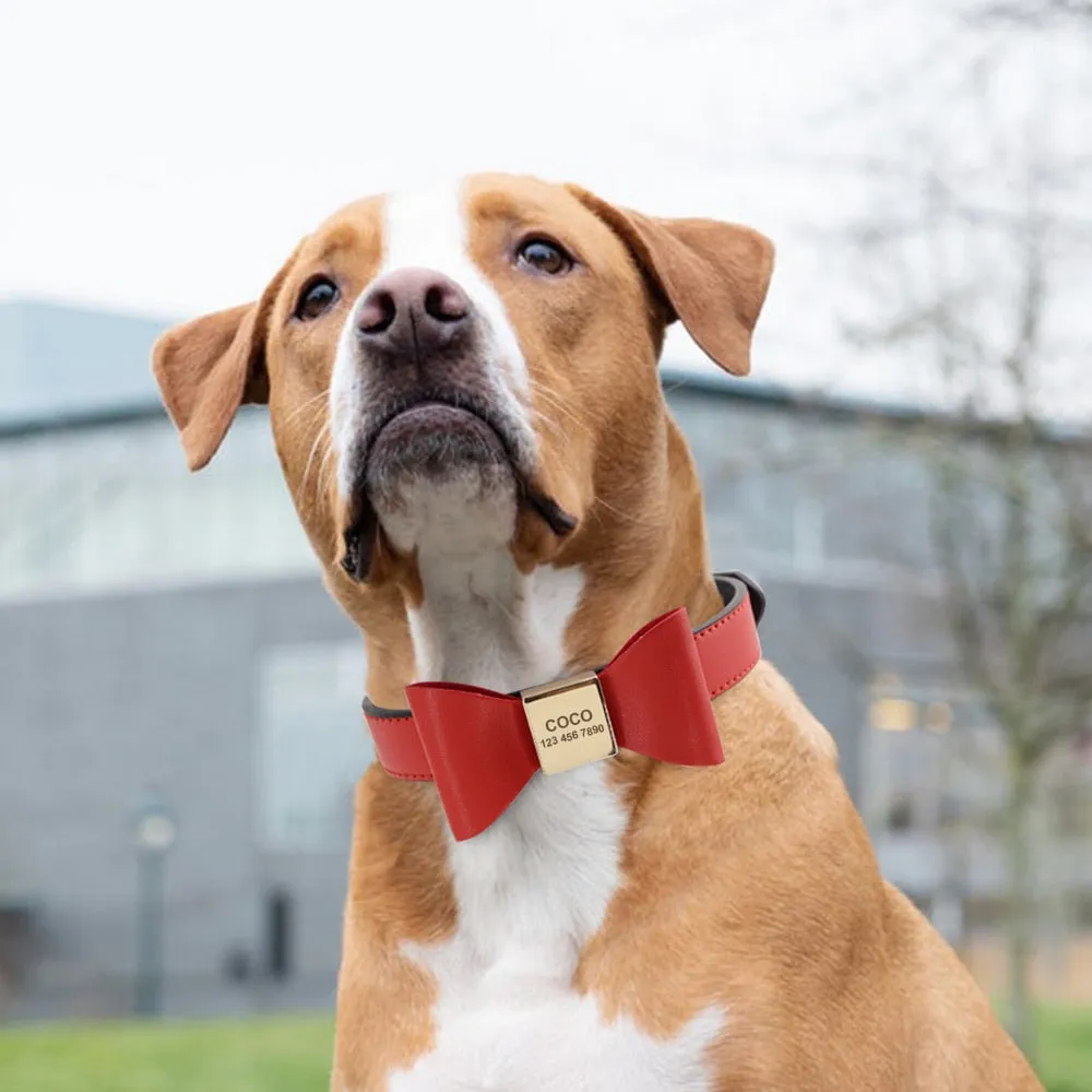 Leather And Bow Personalized Collars