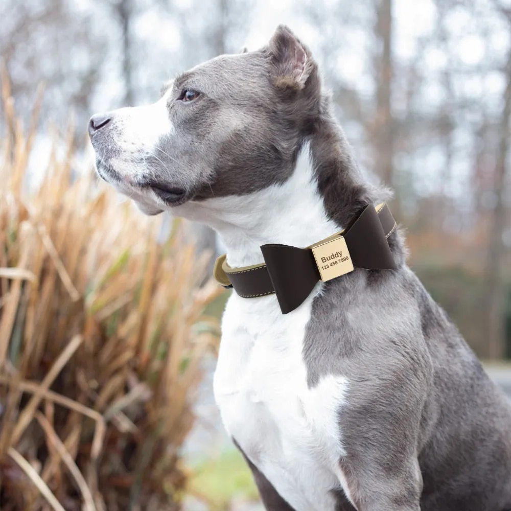 Leather And Bow Personalized Collars