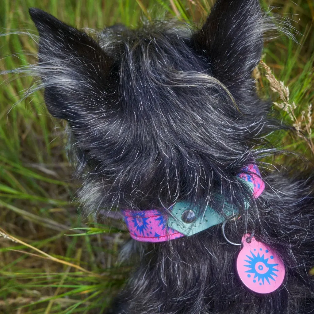 'Nebula' Pet Tag