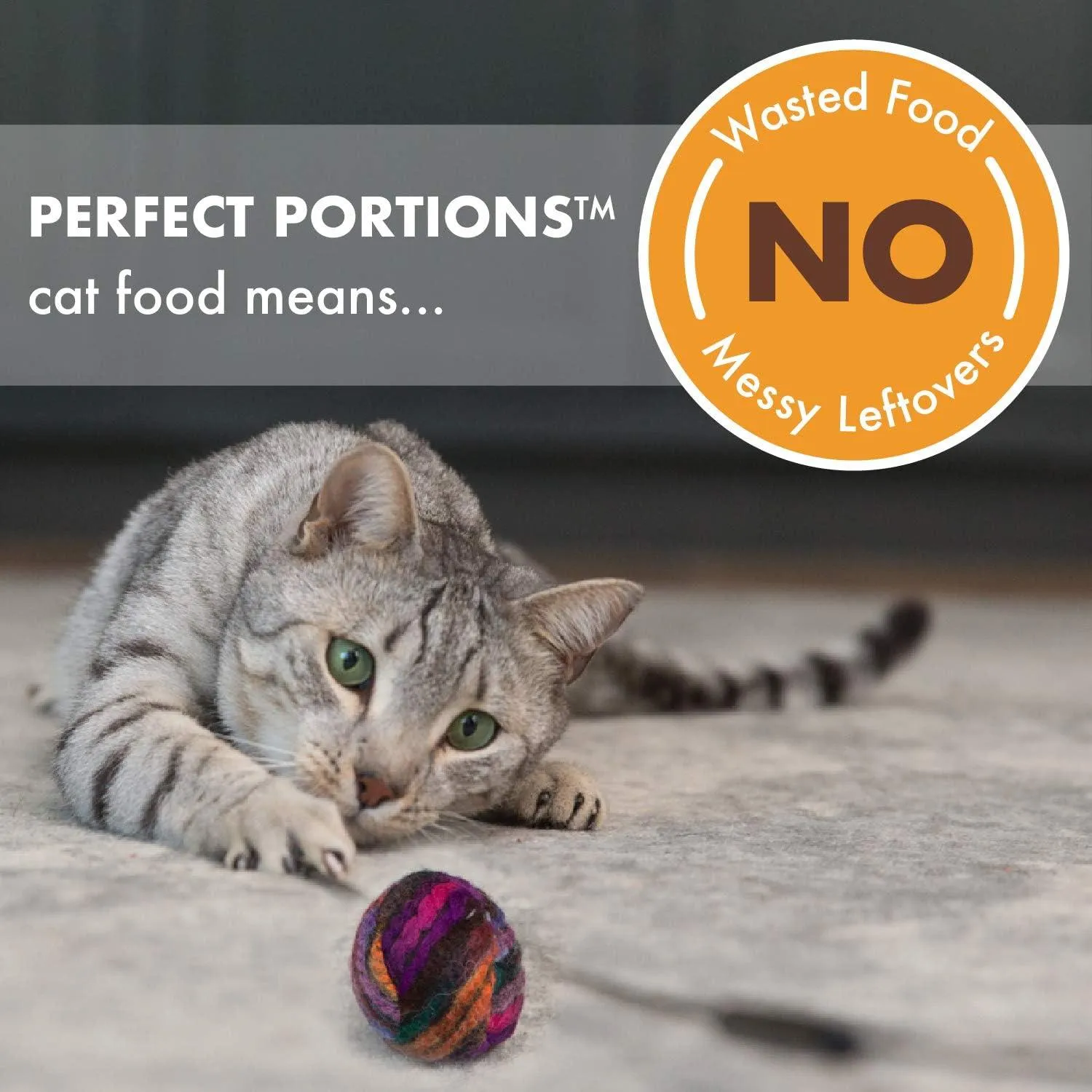 Nutro Perfect Portions Adult Wet Cat Food Grain Free Chicken Paté Entrées