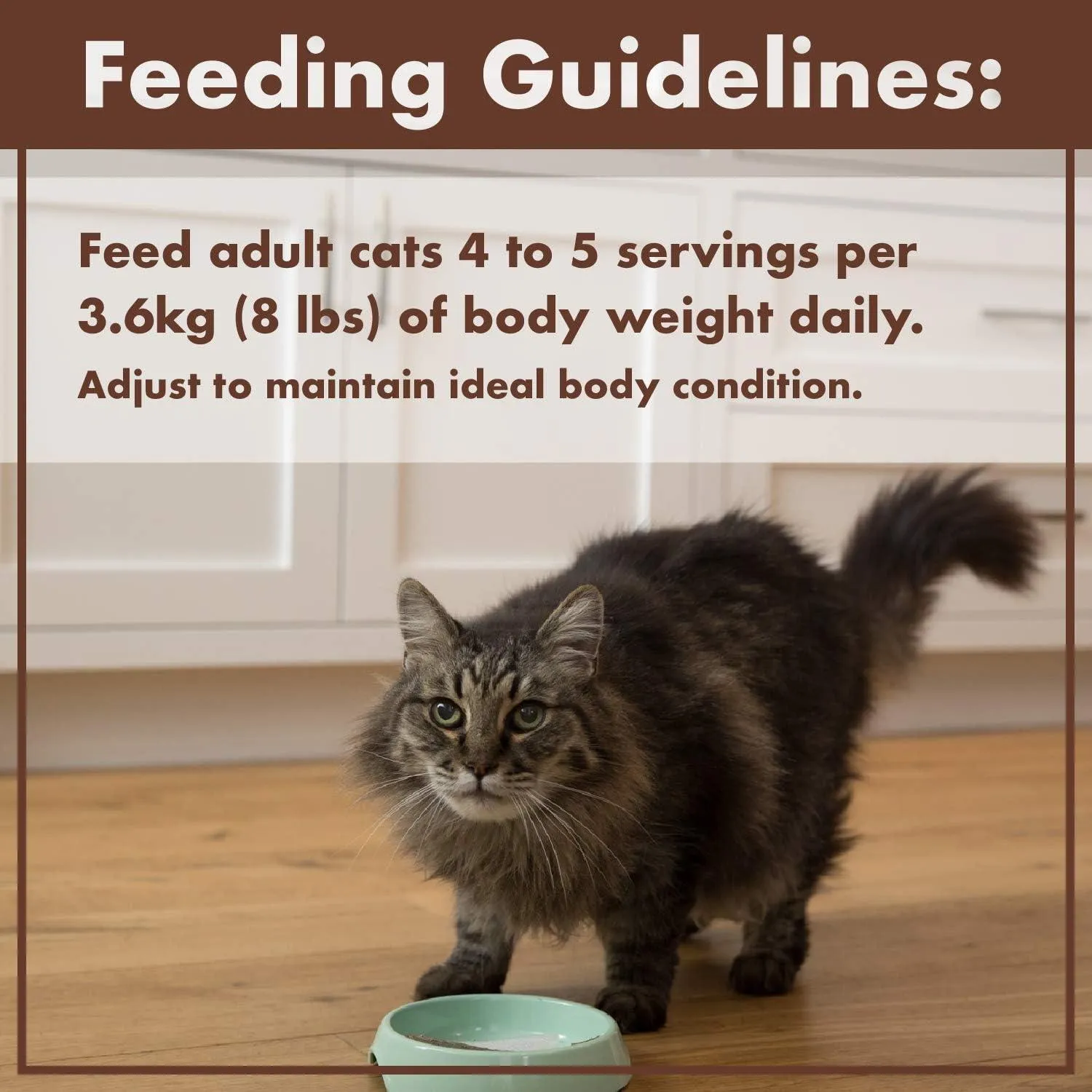 Nutro Perfect Portions Adult Wet Cat Food Grain Free Chicken Paté Entrées