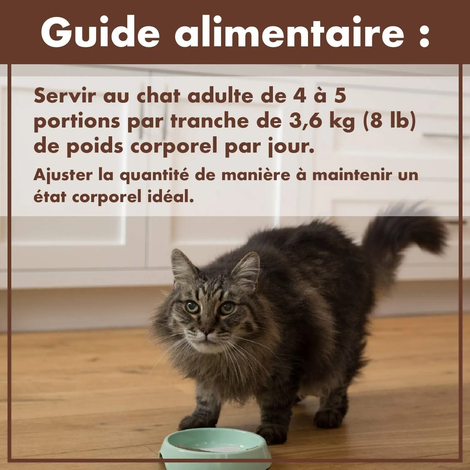Nutro Perfect Portions Adult Wet Cat Food Grain Free Chicken Paté Entrées
