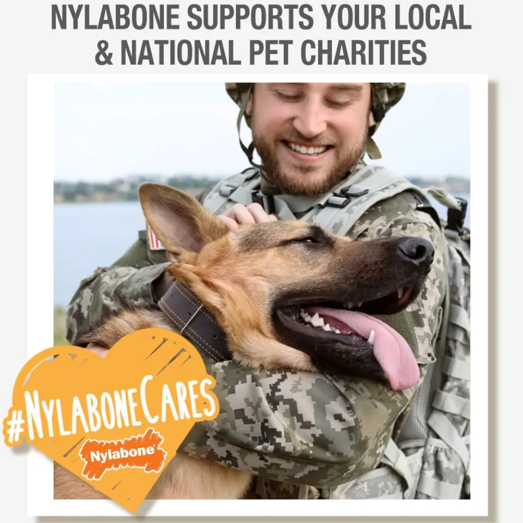 Nylabone Healthy Edibles Natural Long Lasting Bacon Flavor Dog Chew Treats