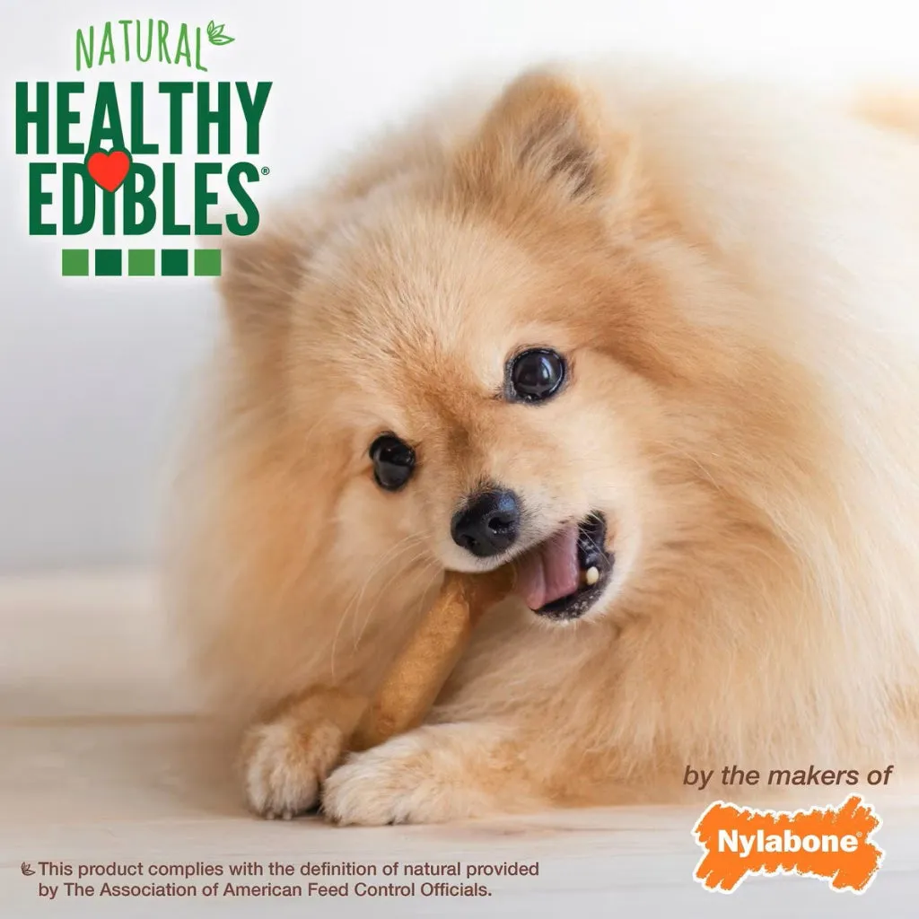 Nylabone Healthy Edibles Natural Long Lasting Roast Beef Flavor Dog Chew Treats