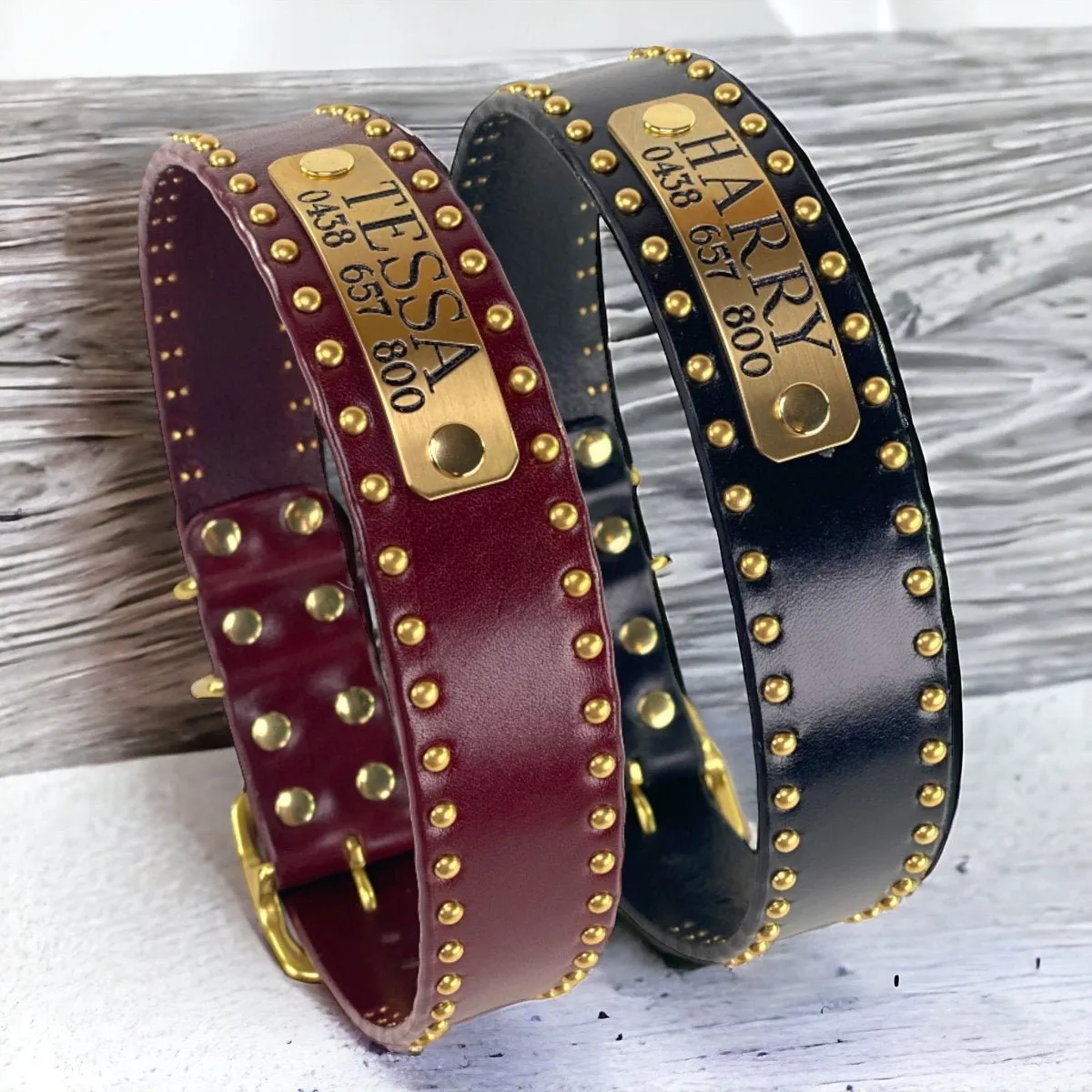 Personalized Leather Dog Collar with Nameplate 1.5" Studding