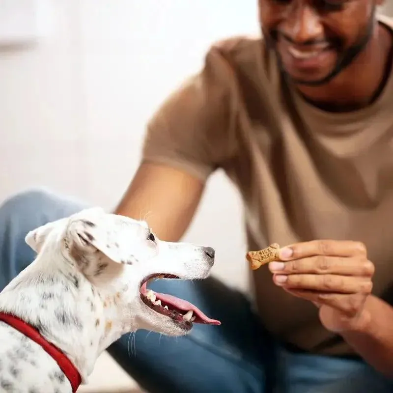 Pet Delights Mini Biscuits, Tools, Bowls