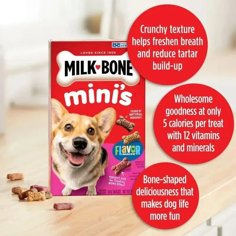 Pet Delights Mini Biscuits, Tools, Bowls