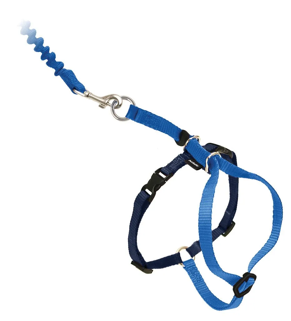 PETSAFE Come With Me Kitty Cat Harness