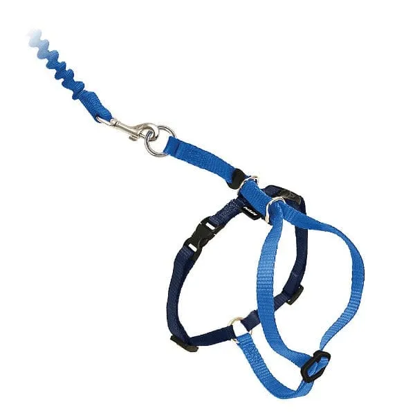 PetSafe Come With Me Kitty Harness & Bungee Leash for Cats