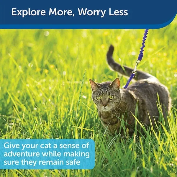 PetSafe Come With Me Kitty Harness & Bungee Leash for Cats