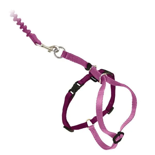 PetSafe Come With Me Kitty Harness & Bungee Leash for Cats