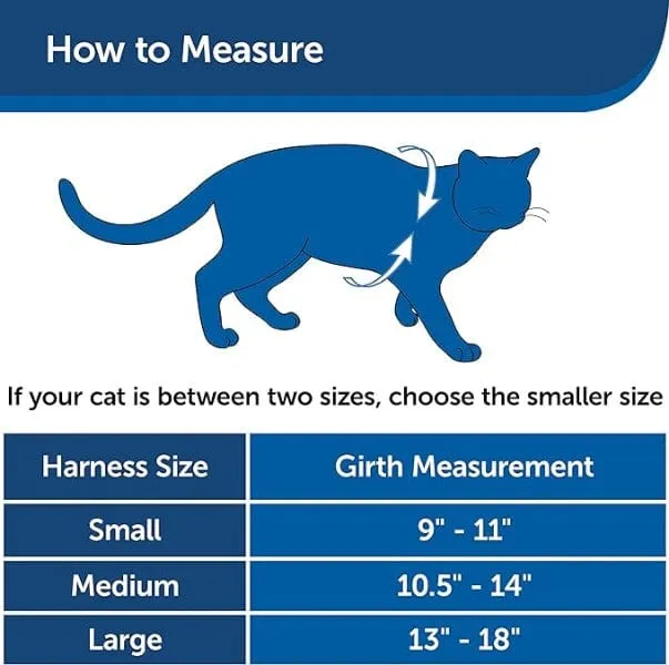 PetSafe Come With Me Kitty Harness & Bungee Leash for Cats