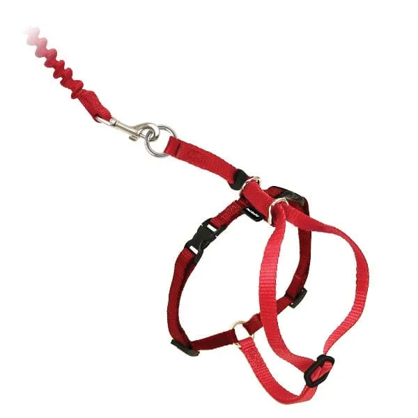 PetSafe Come With Me Kitty Harness & Bungee Leash for Cats