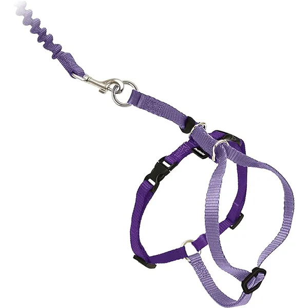 PetSafe Come With Me Kitty Harness & Bungee Leash for Cats