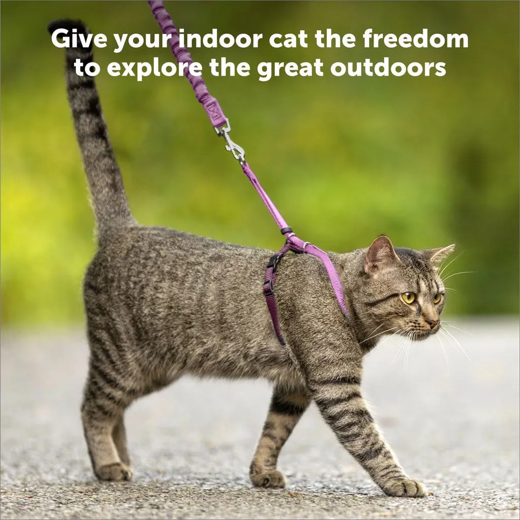 PetSafe Come with Me Kitty Nylon Harness & Bungee Leash for Cats, Black/Silver