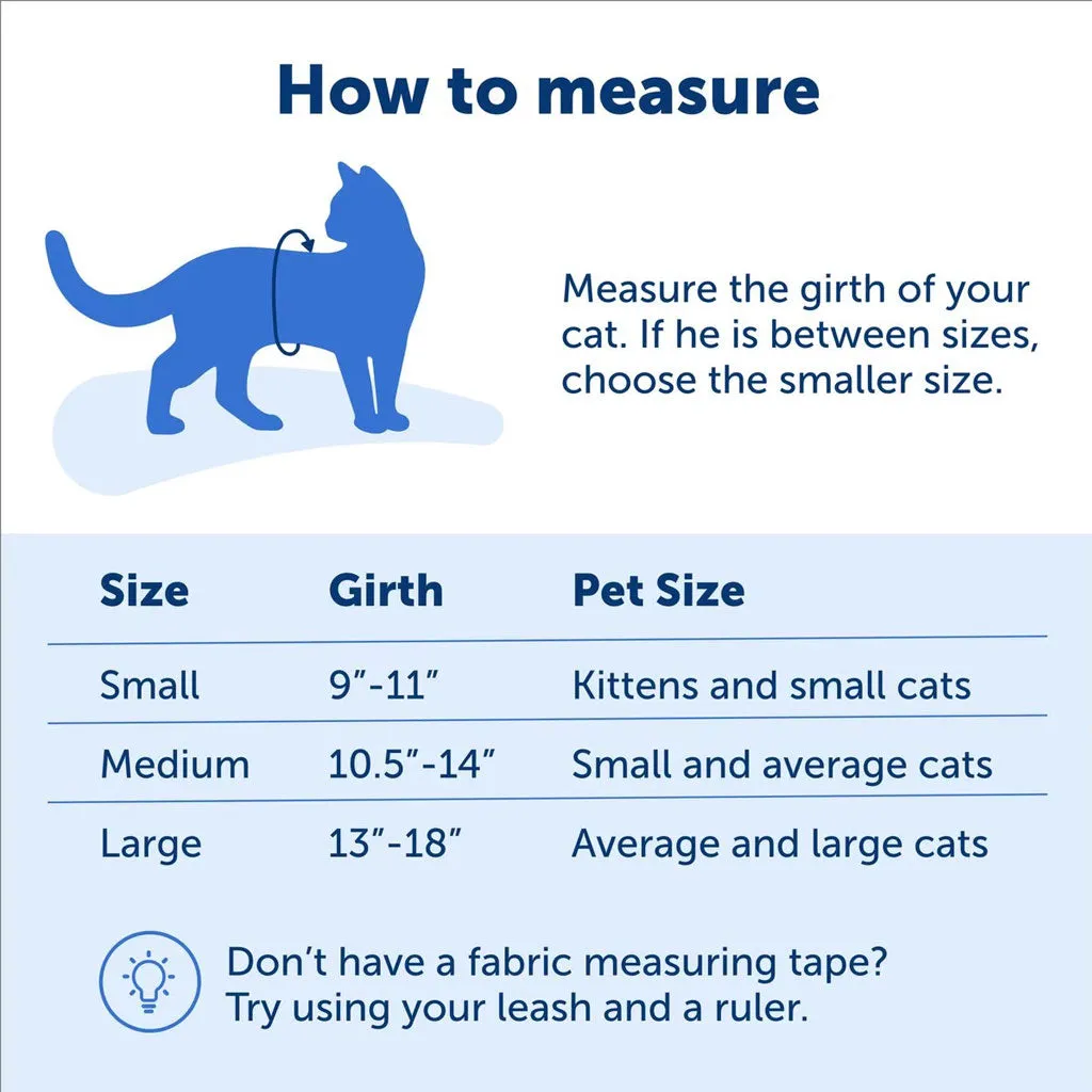 PetSafe Come with Me Kitty Nylon Harness & Bungee Leash for Cats, Black/Silver