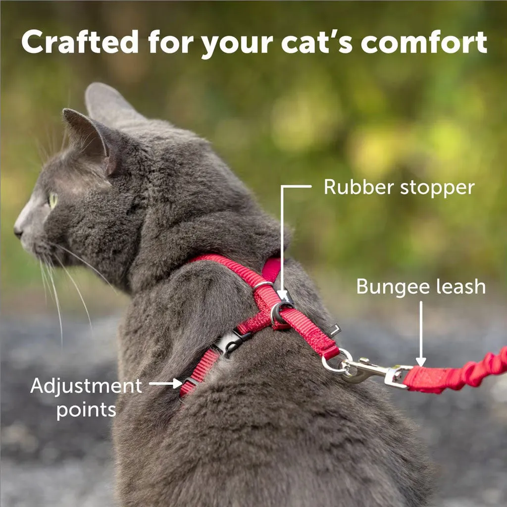 PetSafe Come with Me Kitty Nylon Harness & Bungee Leash for Cats, Black/Silver