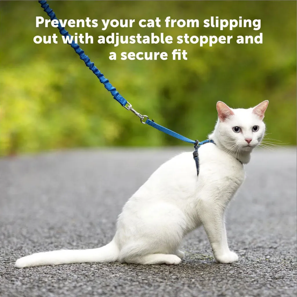 PetSafe Come with Me Kitty Nylon Harness & Bungee Leash for Cats, Black/Silver