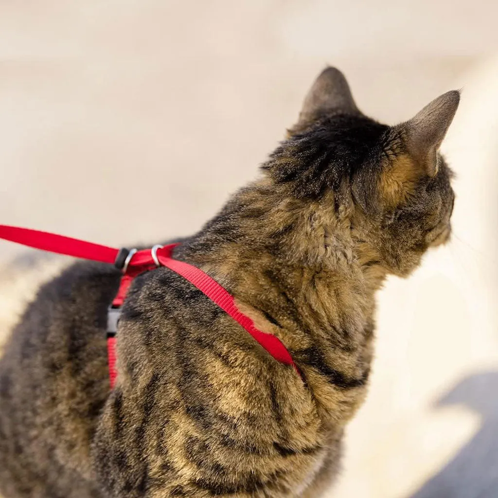 PetSafe Come with Me Kitty Nylon Harness & Bungee Leash for Cats, Black/Silver