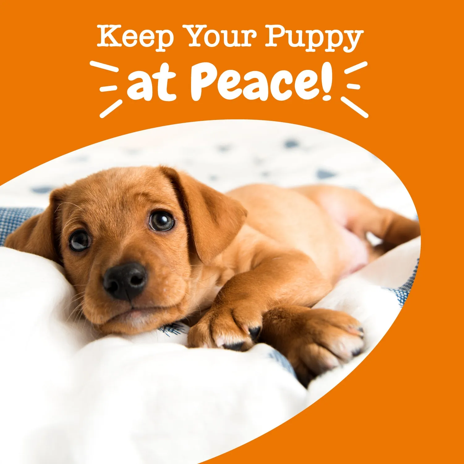 Puppy Calming Bites™