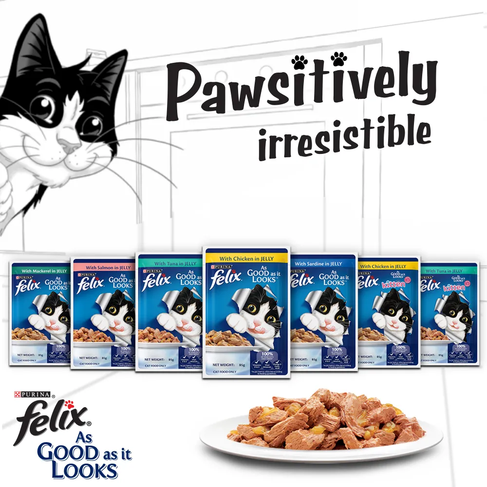 Purina Felix Salmon with Jelly Adult Cat Wet Food