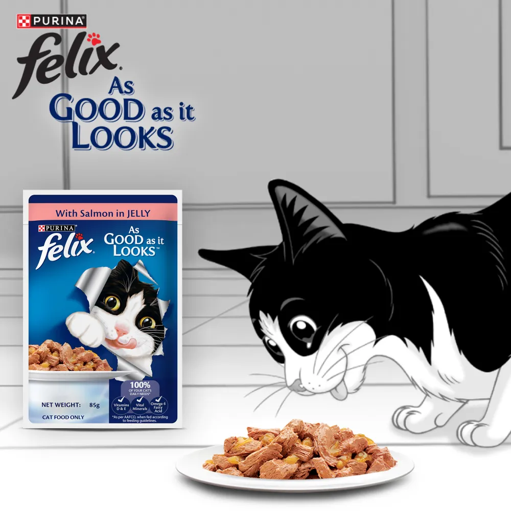 Purina Felix Salmon with Jelly Adult Cat Wet Food