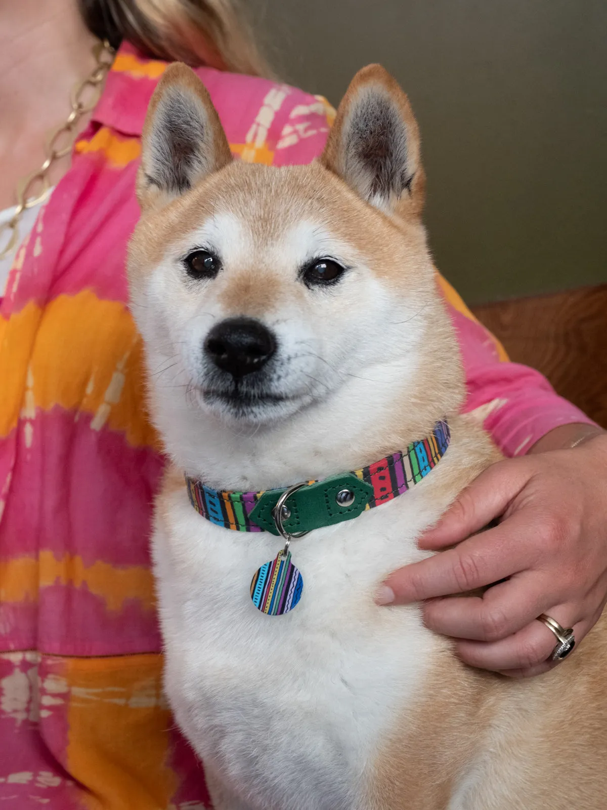 'Rainbow Stripe' Pet Tag
