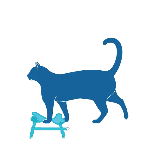 RC Pet Adventure Kitty Harness for Cat Splatter