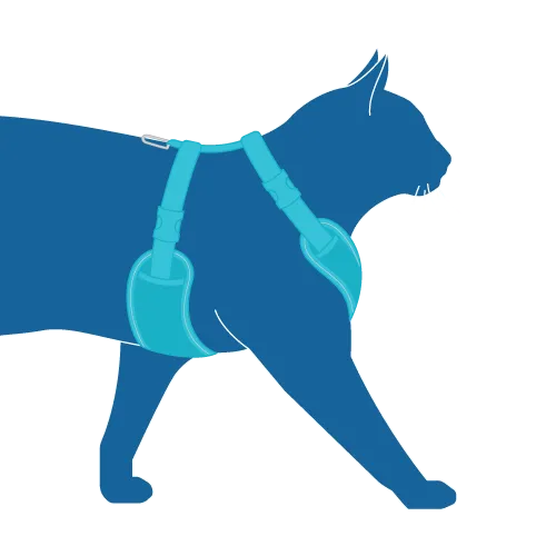 RC Pet Adventure Kitty Harness for Cat Splatter