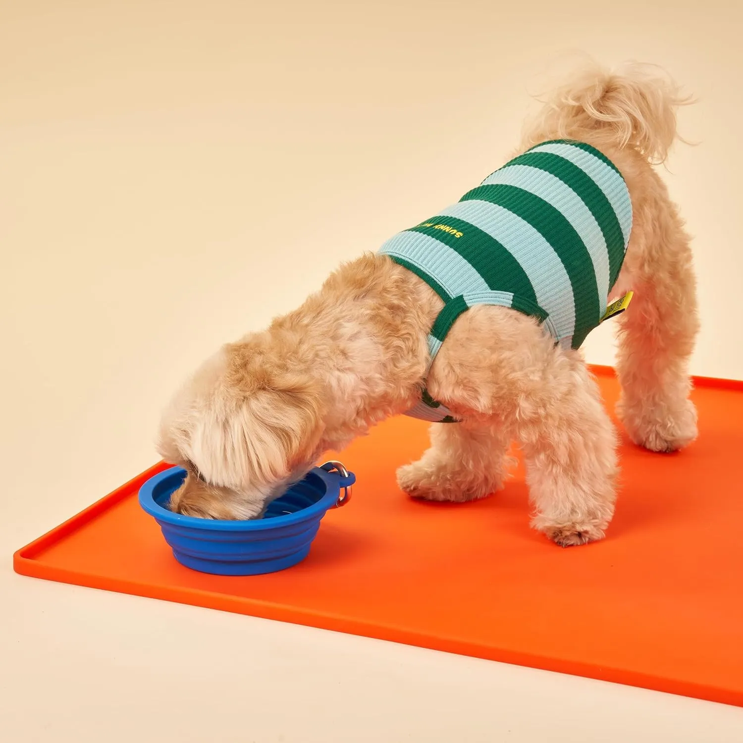 Silicone Collapsible Travel Bowl with Free Poop Bag Holder  Lightweight, Portable, Multipurpose for Pets, Dishwasher & Microwave Safe (Green, Medium)