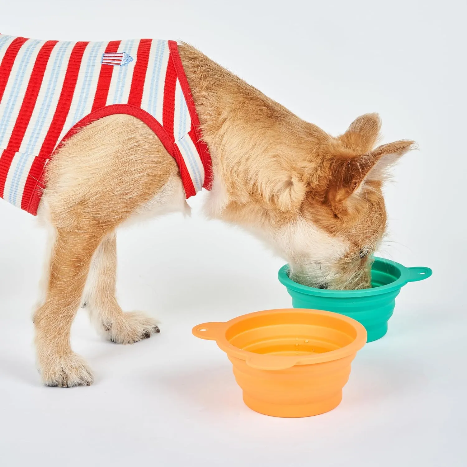 Silicone Collapsible Travel Bowl with Free Poop Bag Holder  Lightweight, Portable, Multipurpose for Pets, Dishwasher & Microwave Safe (Green, Medium)