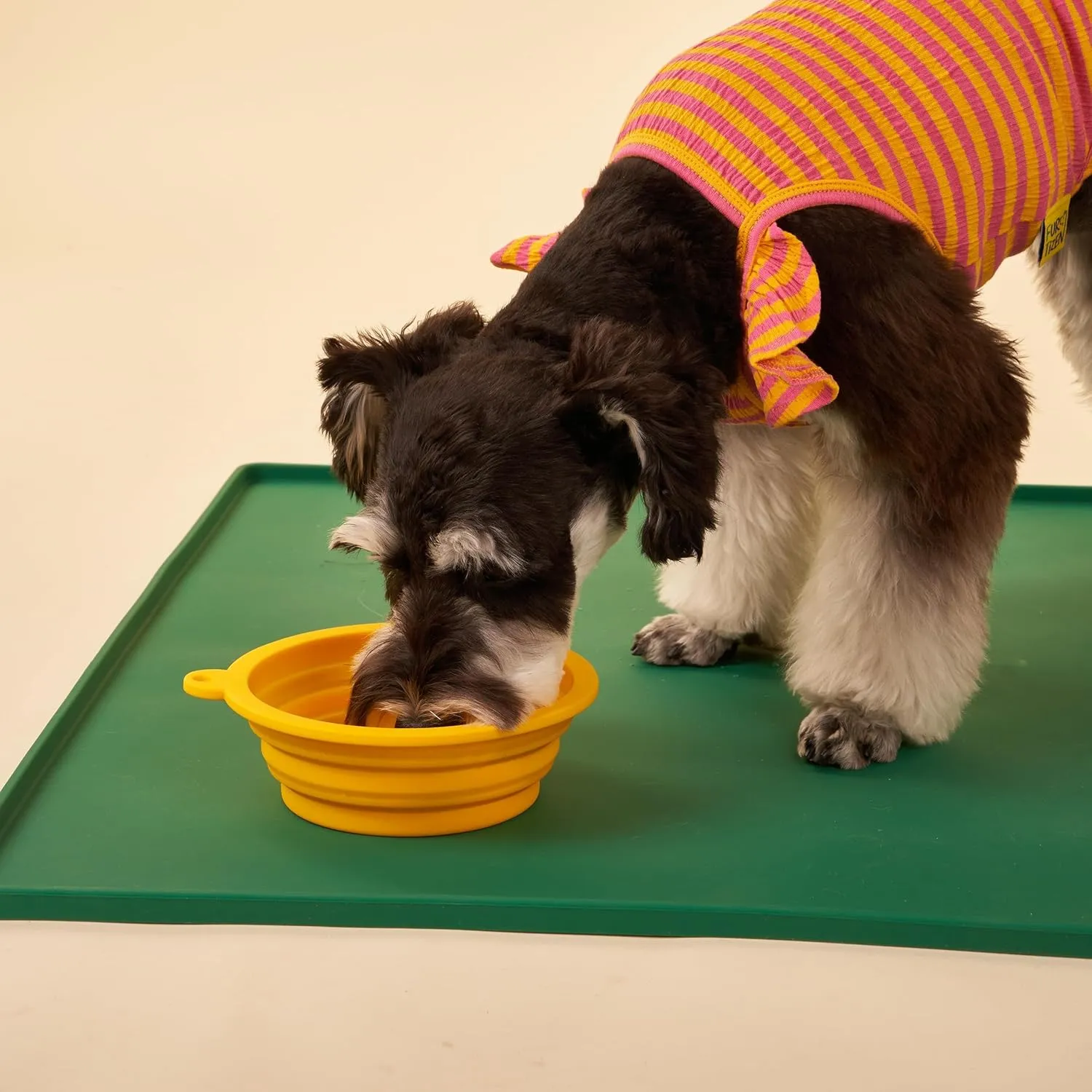 Silicone Collapsible Travel Bowl with Free Poop Bag Holder  Lightweight, Portable, Multipurpose for Pets, Dishwasher & Microwave Safe (Green, Medium)