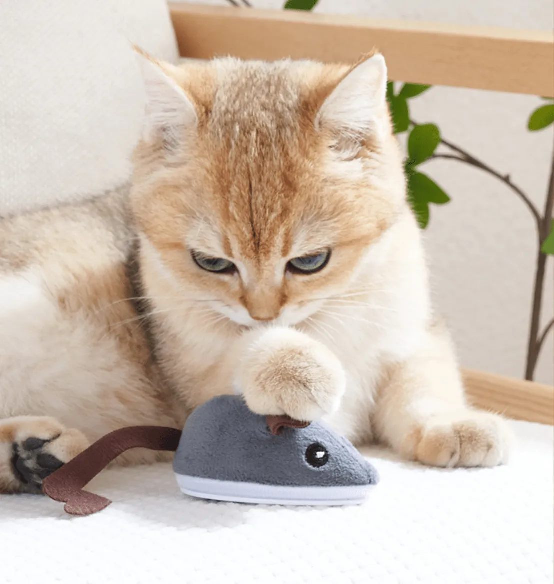Smart Mouse Toy