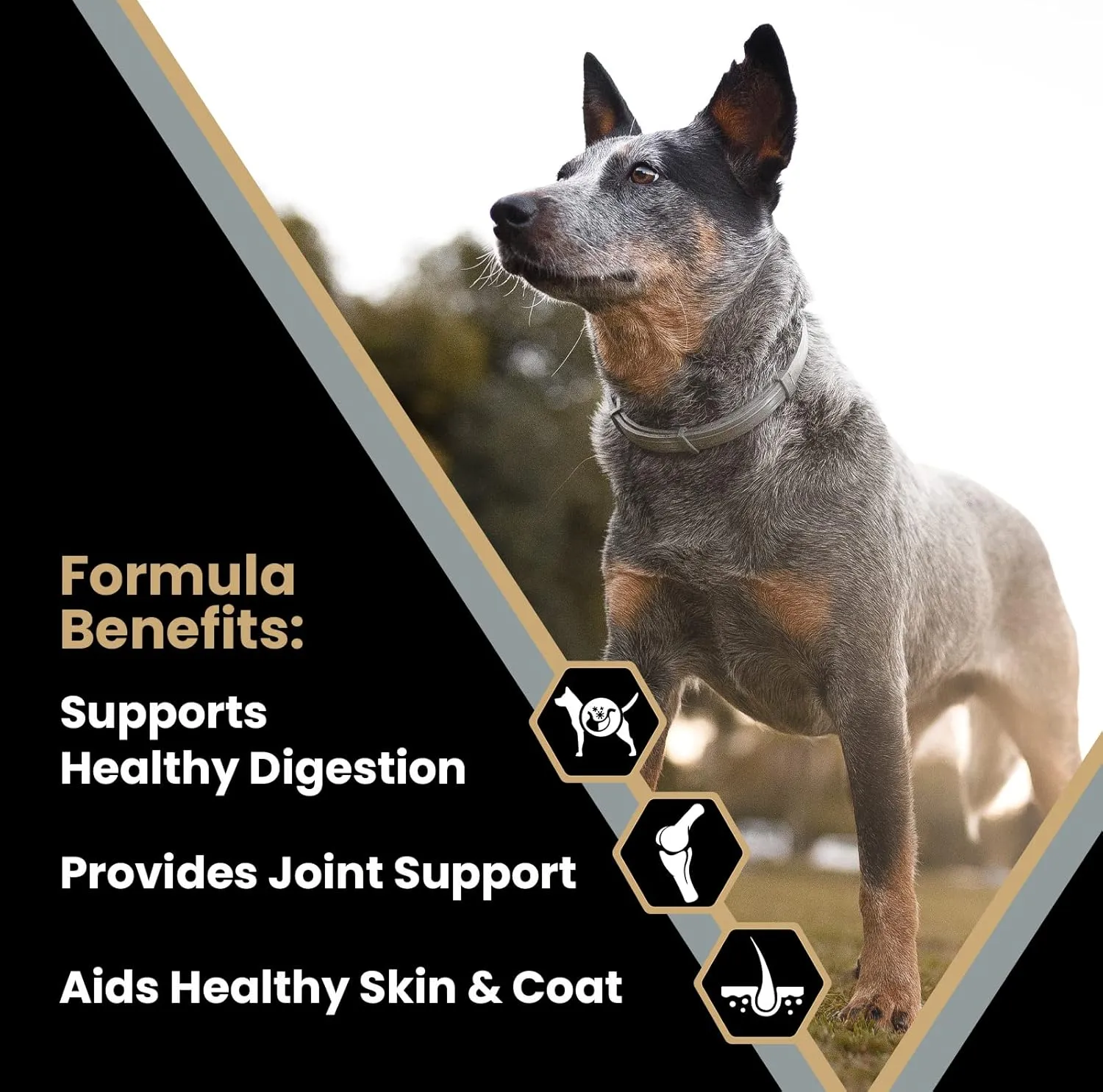 VICTOR Super Premium Dog Food  Purpose  Senior Healthy Weight Management  Dry Dog Food for Adult Dogs  Gluten Free with Glucosamine and Chondroitin, for Hip and Joint Health, 40lbs