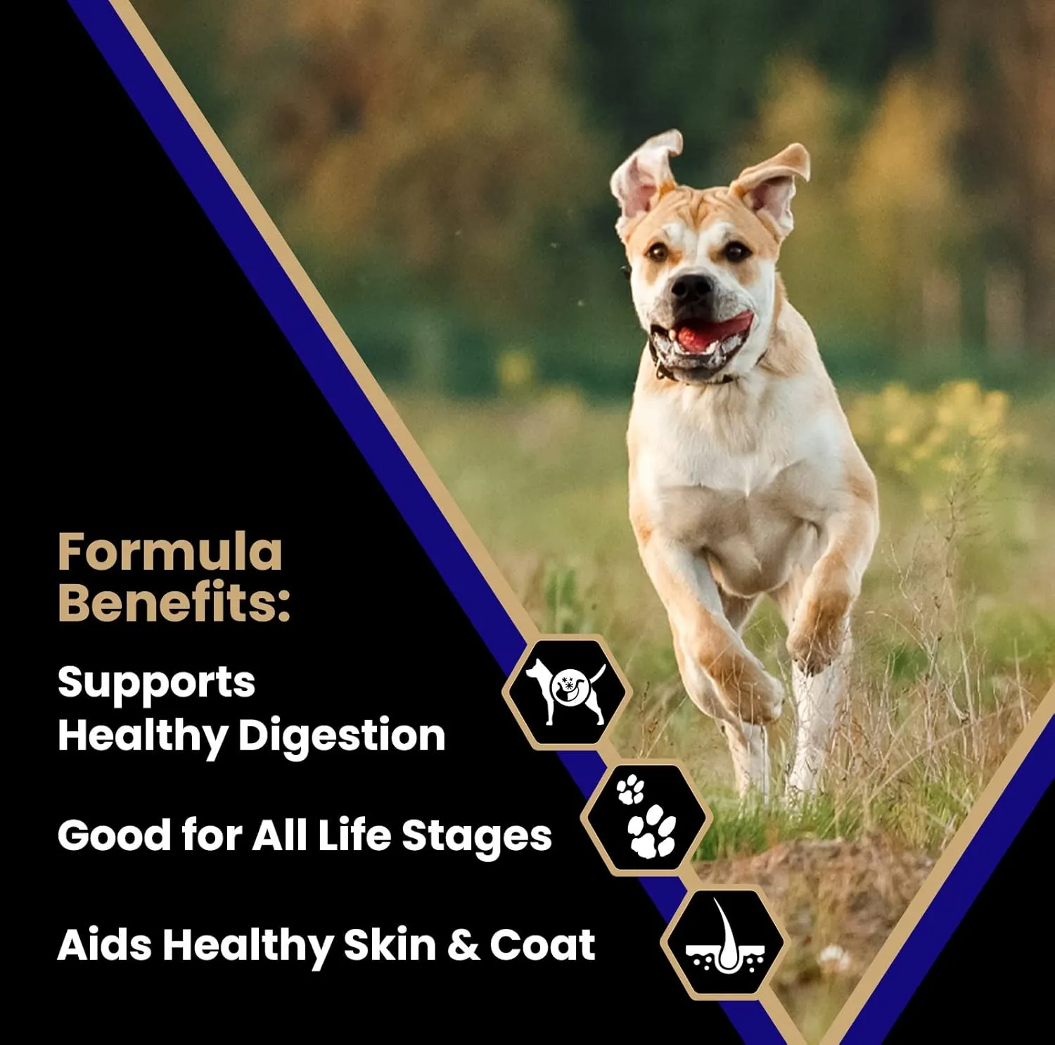 VICTOR Super Premium Dog Food  Select Beef Meal & Brown Rice Formula for Immune and Gut Health  Gluten-Free Beef Meal Dry Dog Food for All Normally Active Dogs of All Life Stages, 15 lbs