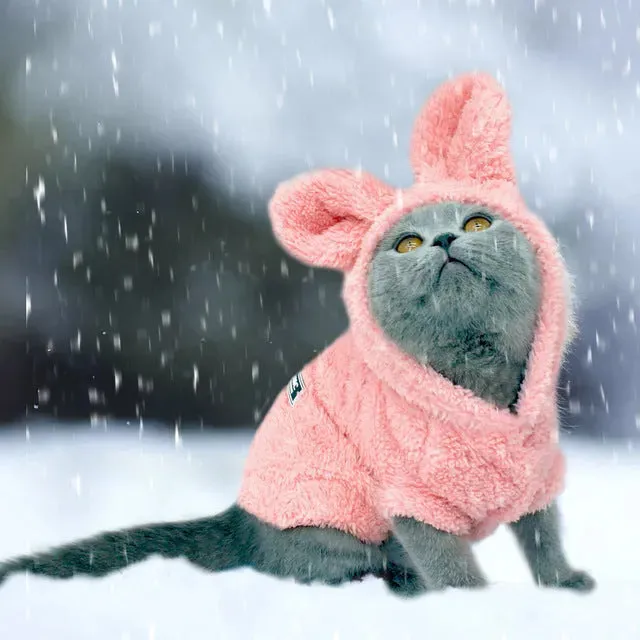 Warm Winter Cat & Dog Jacket – Soft Cotton Coat for Small Pets