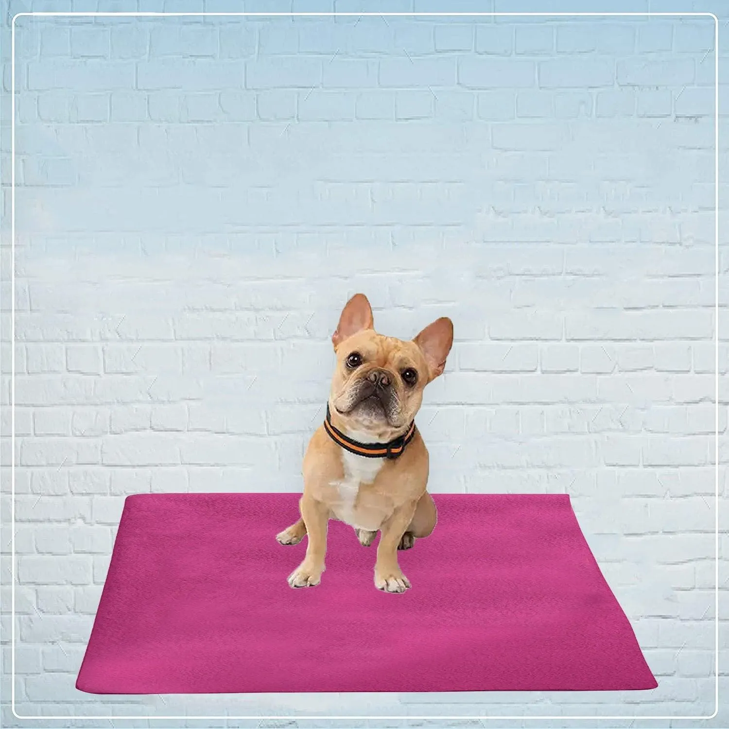 Waterproof Pet Training Puppy Pad (Small & Pack of 2)